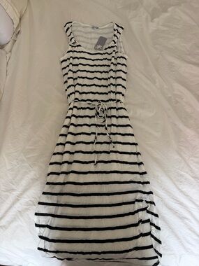 Splendid striped dress with tie